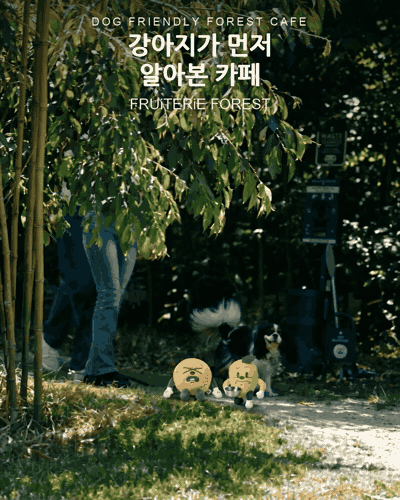 산책 나온 강아지가 제일 먼저 알아본 건 누구였을까요? · 해운대 애견동반 카페