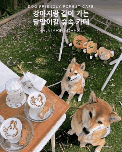 송정 애견동반 카페 프루터리포레스트 · 송정 애견동반 카페