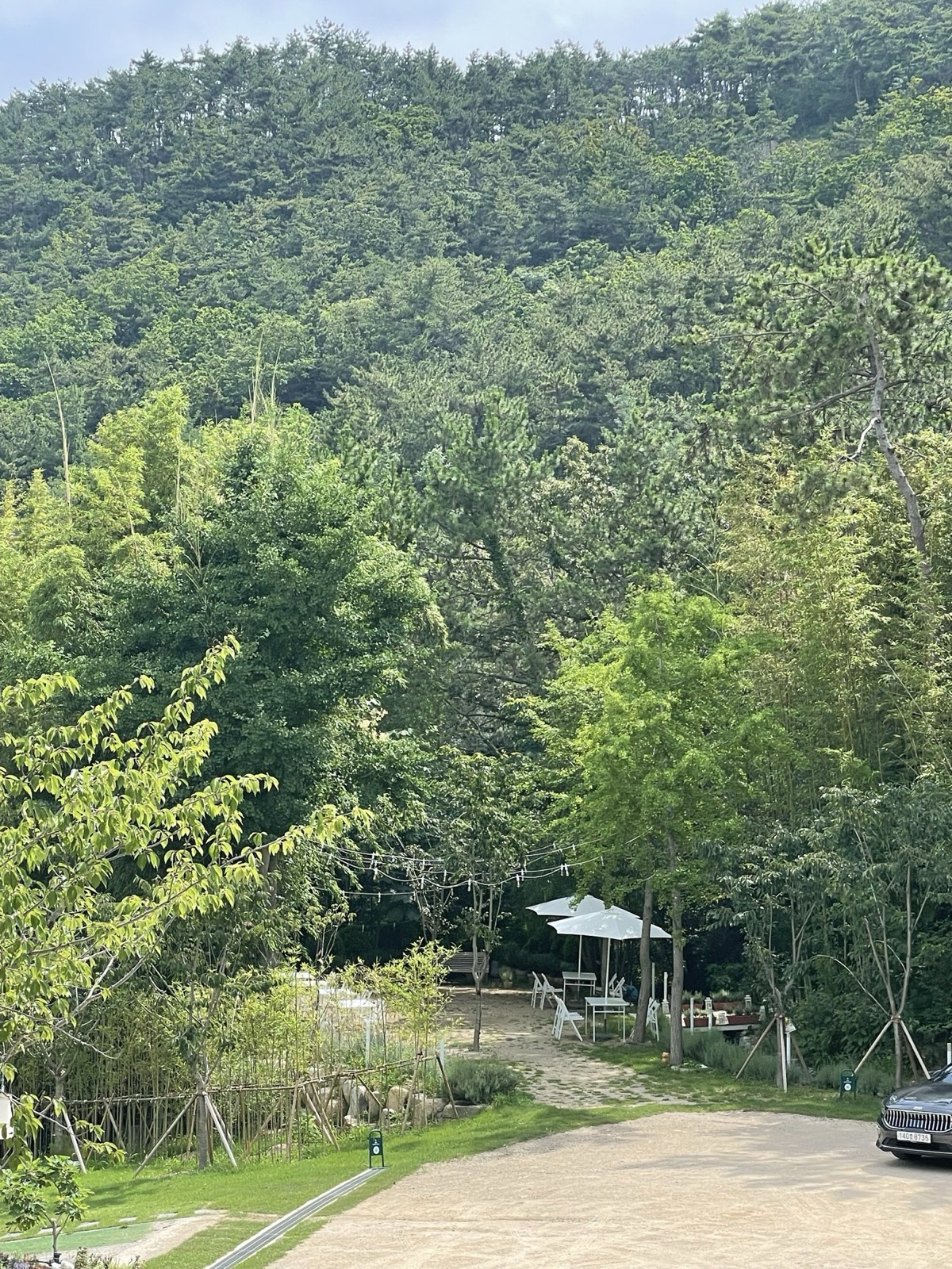 숲이 둘러싼 산자락 아래 대나무와 나무 사이로 정원 파라솔과 테이블, 잔디가 내려다보이는 풍경