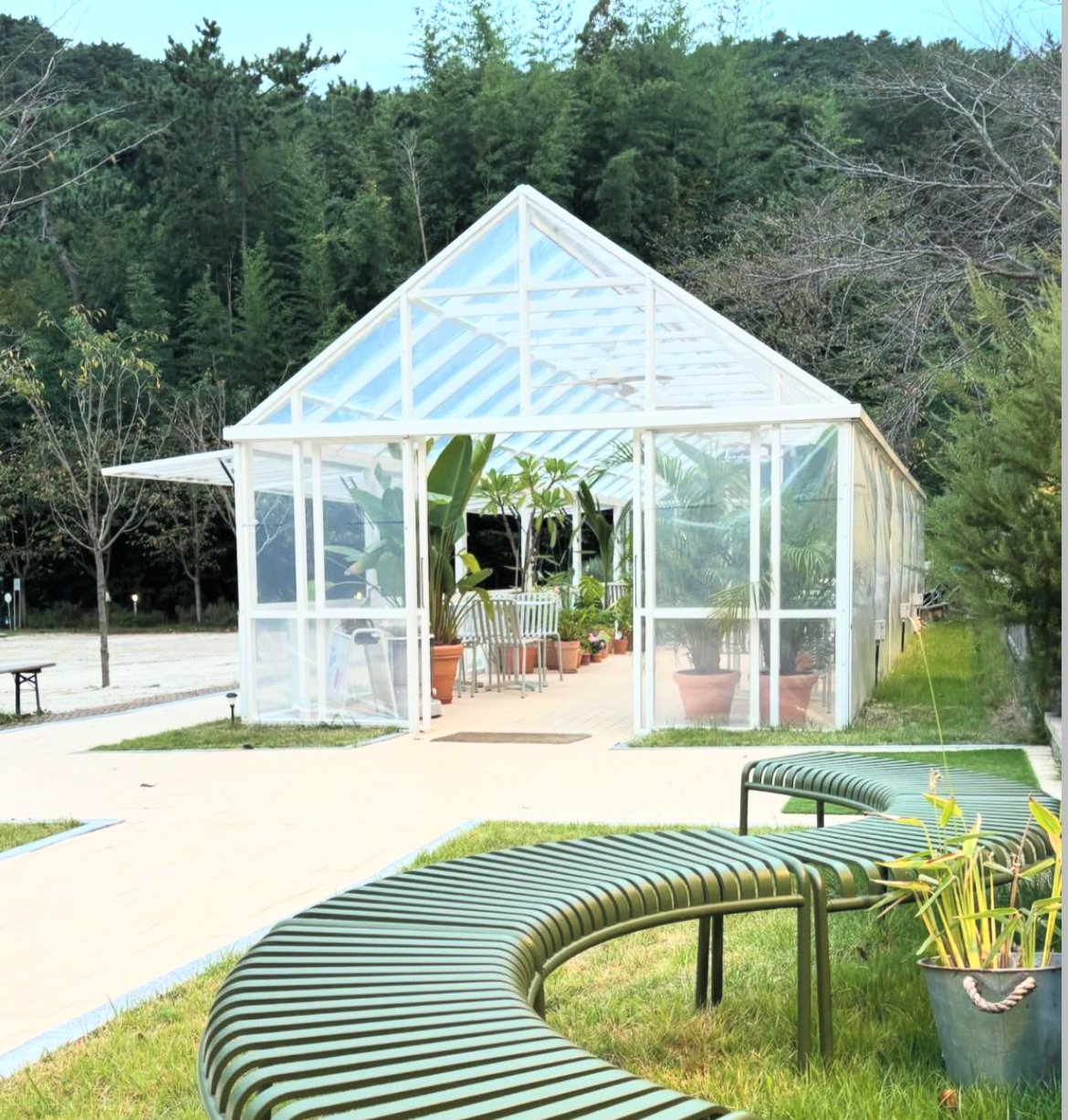 A small white glass greenhouse on a lawn surrounded by bamboo, with a curved green bench in front